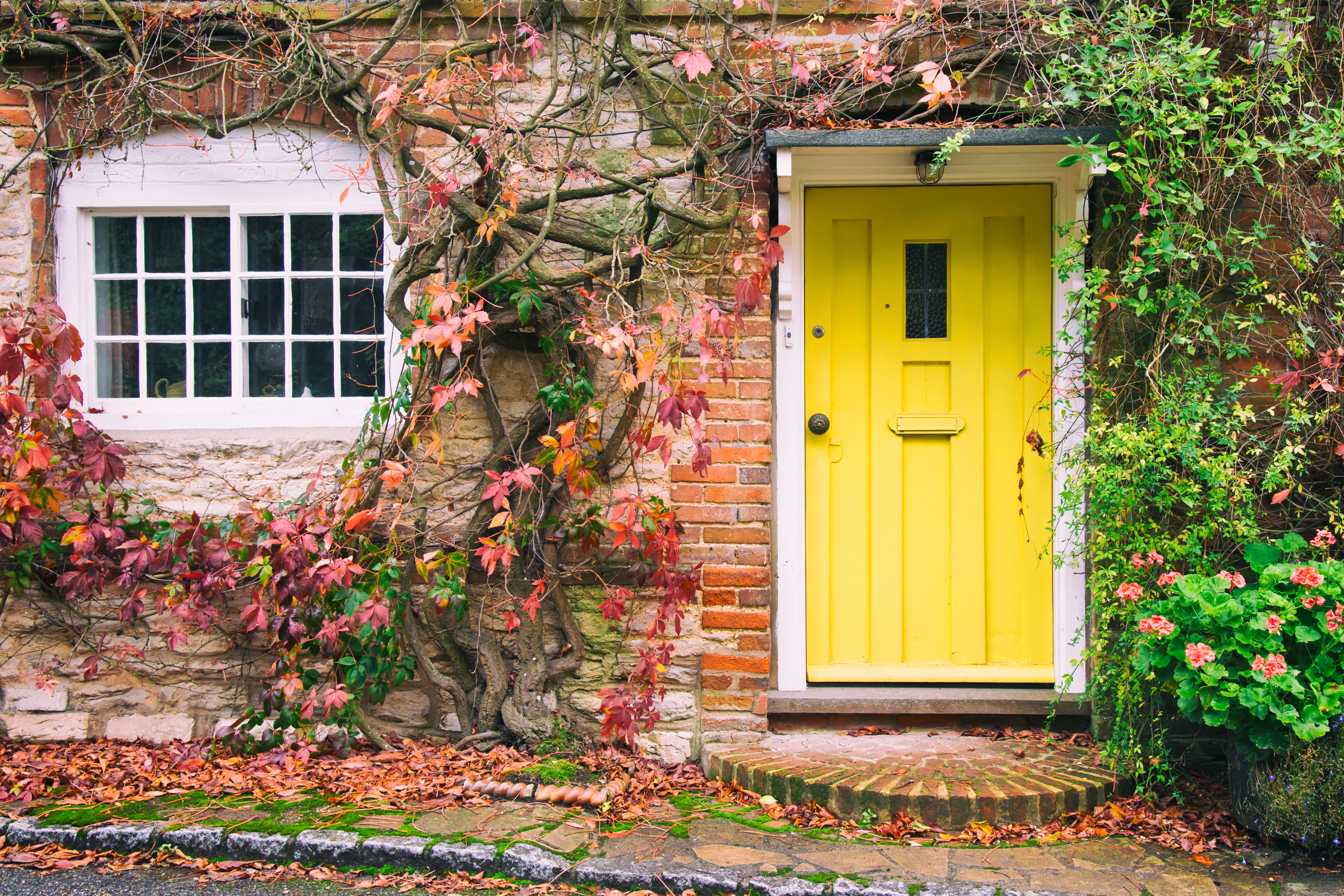 country style front doors